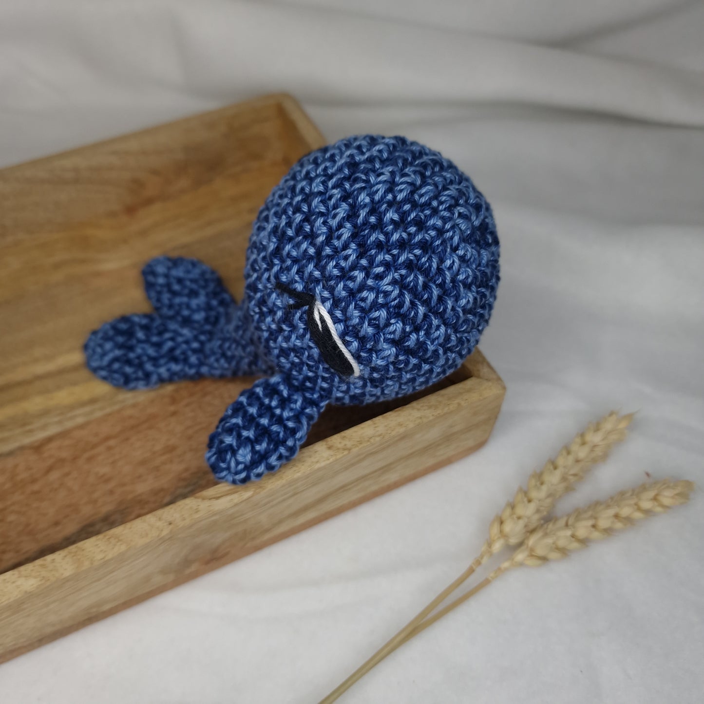 Océane la baleine bleue